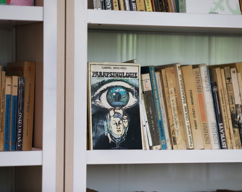 Curiosul caz al fetiţei de 12 ani care citeşte cărţi împrumutate de la biblioteca din sat. „TikTok nu-ţi dezvoltă nici creierul, nici imaginația, nici componentele lingvistice”, spune ea