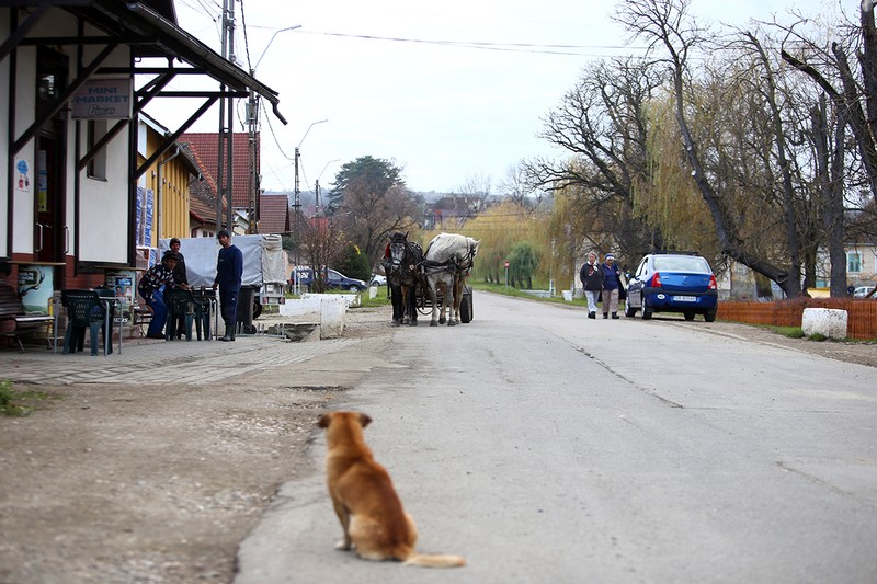 Câțiva săteni opriți la o bere ne arată unde se duc francezii după ce termină exercițiile