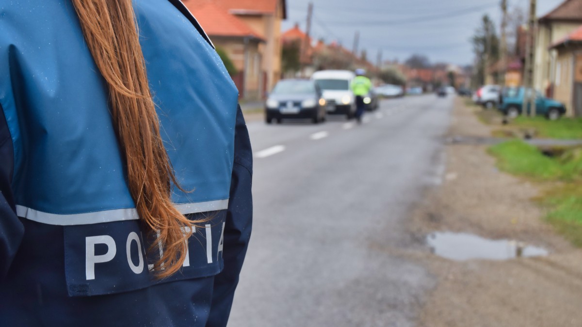 Mai multe autoturisme oprite pe margine unui drum dintr-un sat, sunt verificate de un polițist. În același timp, o polițistă dirijează circulația