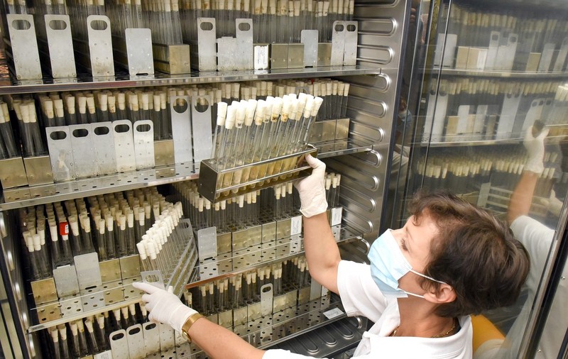 Infecțiile fungice letale se răspândesc în SUA într-un ritm „alarmant”, transmit experții
