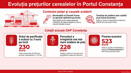 Infografic realizat cu ajutorul inteligenței artificiale