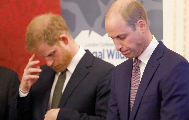 Prinţul William şi fratele său, Harry, nu vor merge unul lângă celălalt la funeraliile prințului Philip