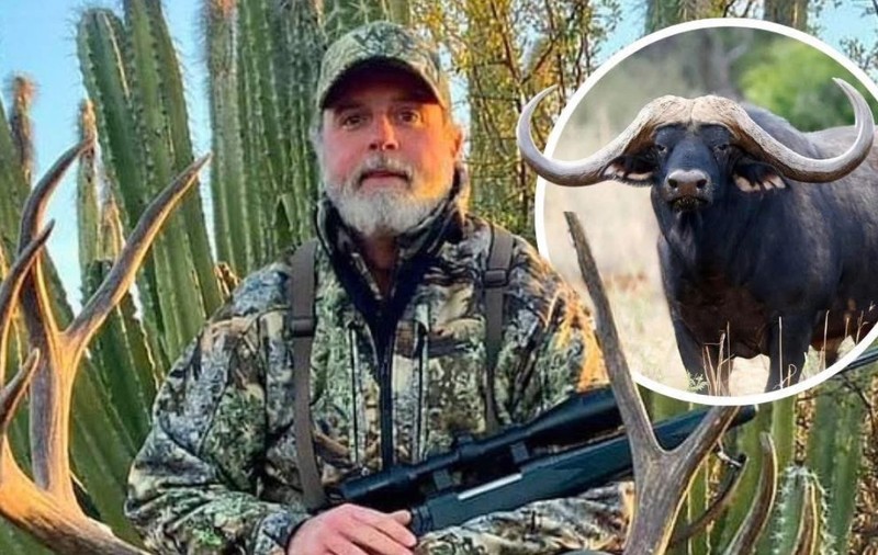 Vânător milionar american, omorât după ce un bivol și-a înfipt coarnele în el cu 50 km/h