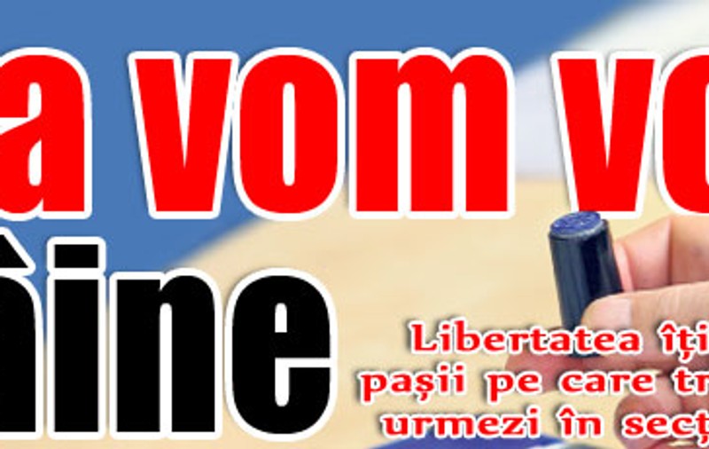 Aşa vom vota mâine