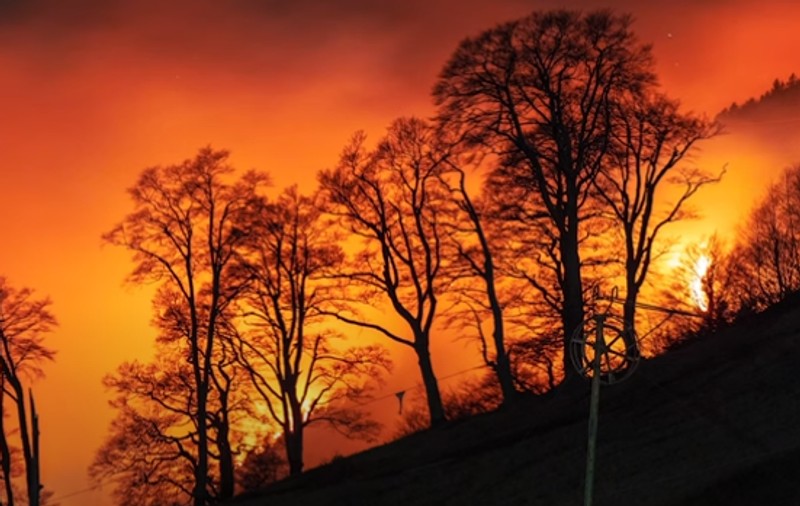 Doi turiști au uitat să stingă focul de tabără și s-au trezit că au incendiat șase hectare de pădure de brad, în Elveția
