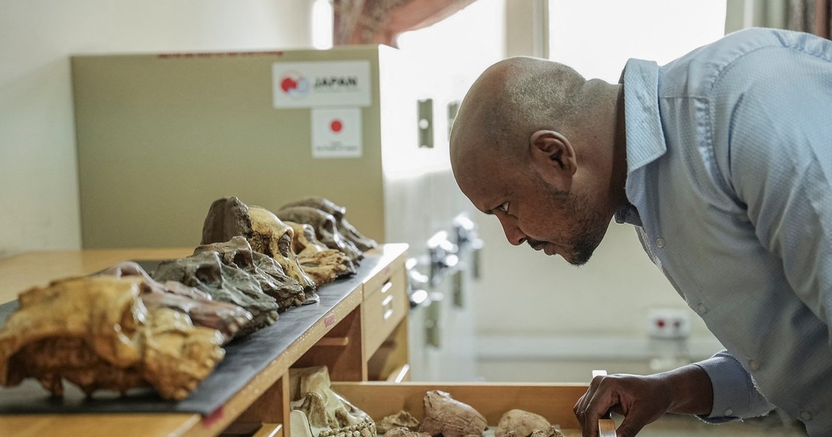 foto Sahleselasie Melaku, 31 de ani, șef de departament și cercetător asociat al colecțiilor de paleontologie și paleoantropologie, examinează un sertar care conține resturi fosile la Muzeul Național al Etiopiei din Addis Abeba, pe 19 noiembrie 2024.