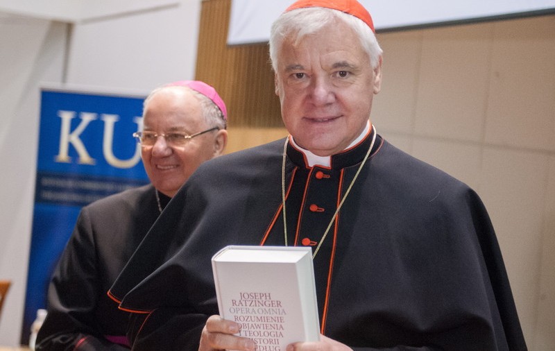 Atacul unui cardinal catolic la Papa Francisc: “Sunt loial papei, dar el nu este mai presus de cuvântul lui Dumnezeu”