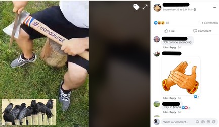 Un colaj postat pe grupul ”Și eu sunt Damian”. Una dintre imaginile folosite în colaj, cu ciorile stând pe un gard, a fost distribuită pe Facebook și de către istoricul Vladimir Tismăneanu