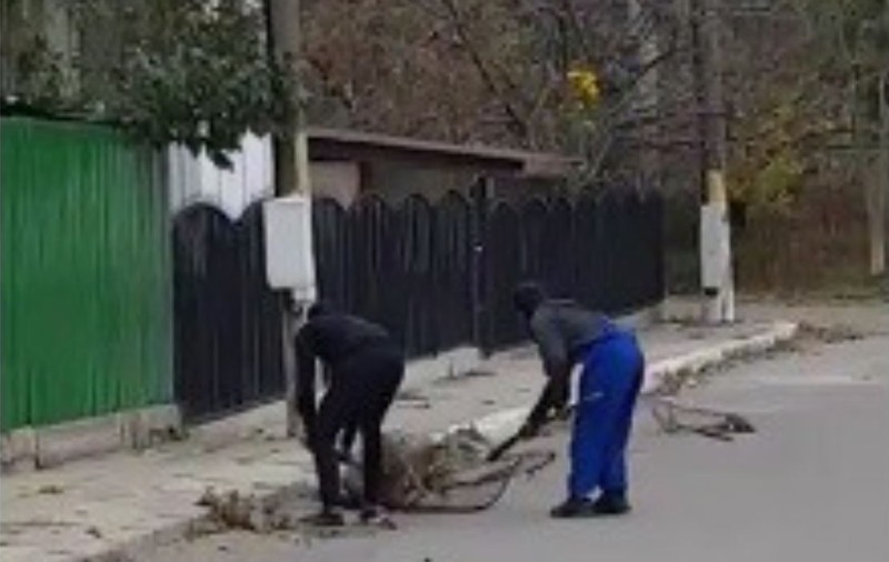 Câini loviți de hingheri în Eforie Nord, sub ochii polițiștilor. Fillmare cutremurătoare cu maltratarea animalelor / VIDEO