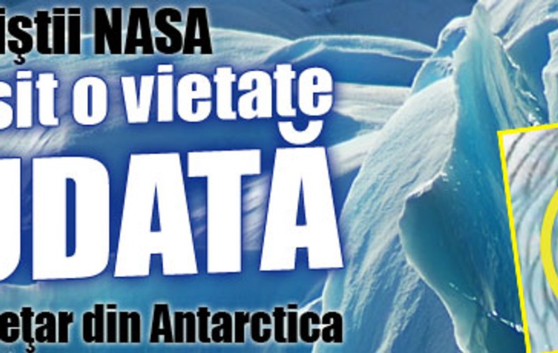 Video | Specialiştii NASA au găsit o vietate ciudată într-un gheţar din Antarctica