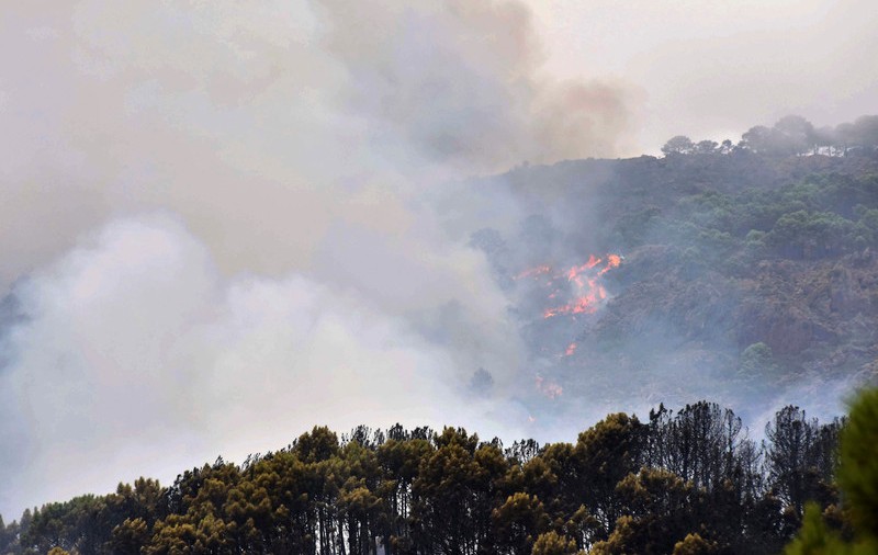 MAE a emis o avertizare de călătorie în Spania: Incendiu activ de vegetaţie forestieră în provincia Malaga