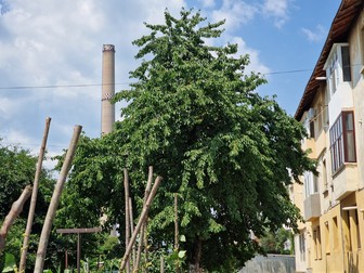 Fosta termocentrală este gard în gard cu locuinţele sătenilor
