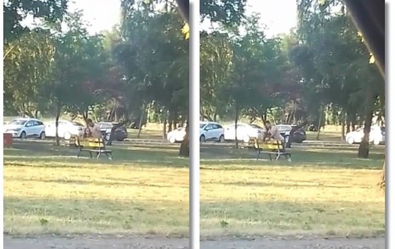VIDEO - Au făcut dragoste într-un parc din Timișoara