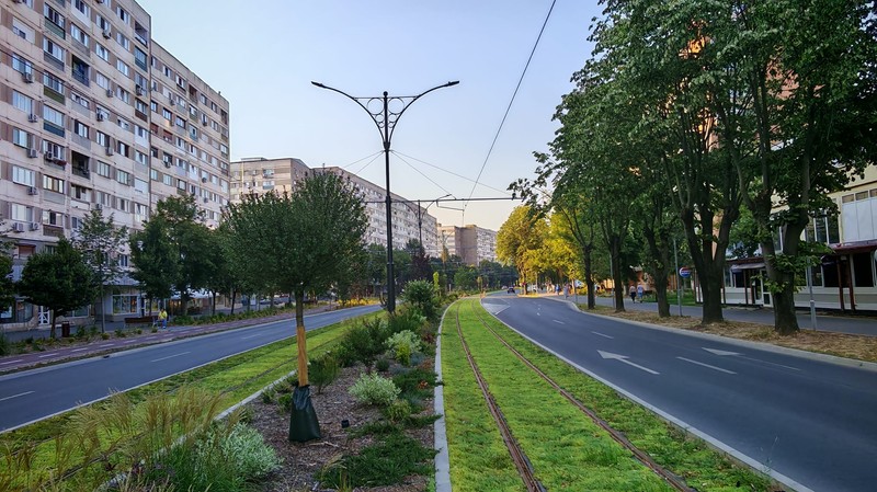 Arhiva foto
