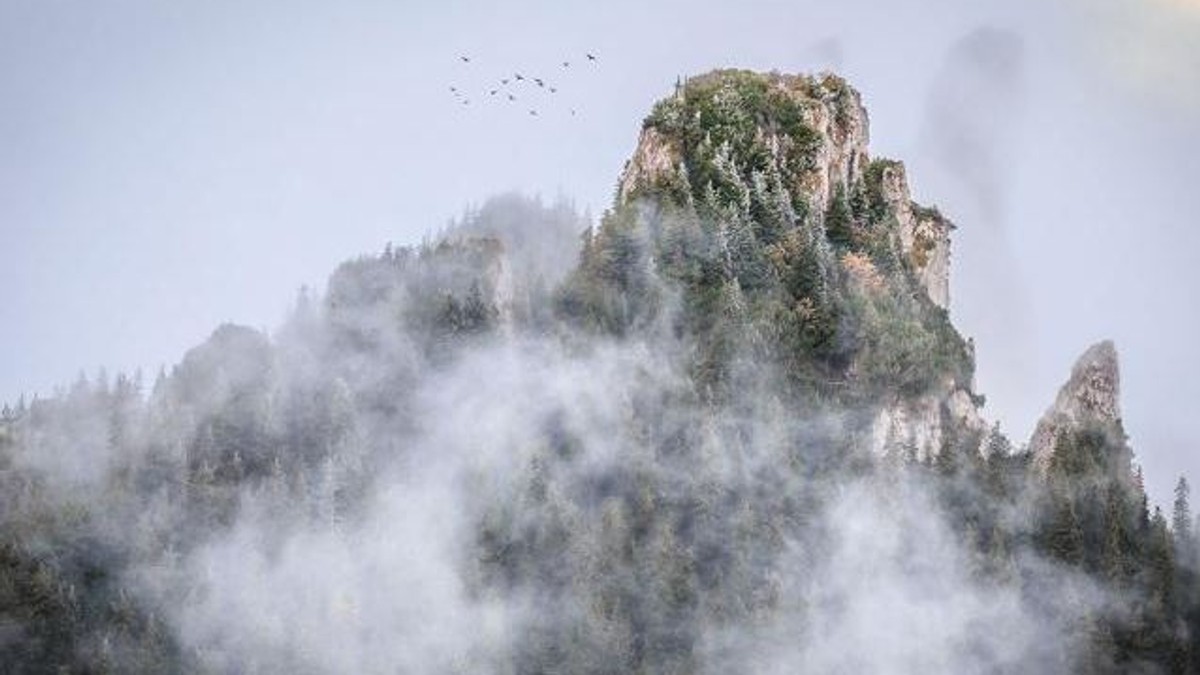 Imaginea surprinsă de fotograful Cătălin Urdoi, apreciată de National Geographic