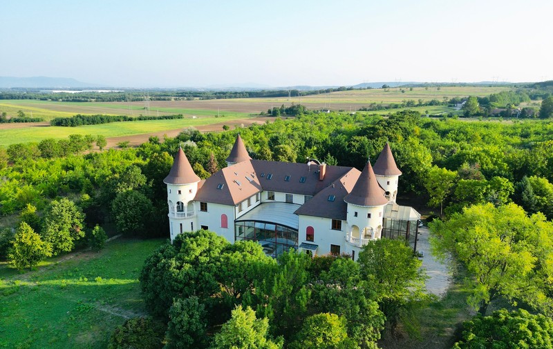 Castelul cu 27 de camere al șoferului liderului comunist maghiar János Kádár a fost vândut la licitație de moștenitori