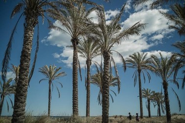 Castellón de la Plana, orașul în care Oana a locuit timp de 16 ani