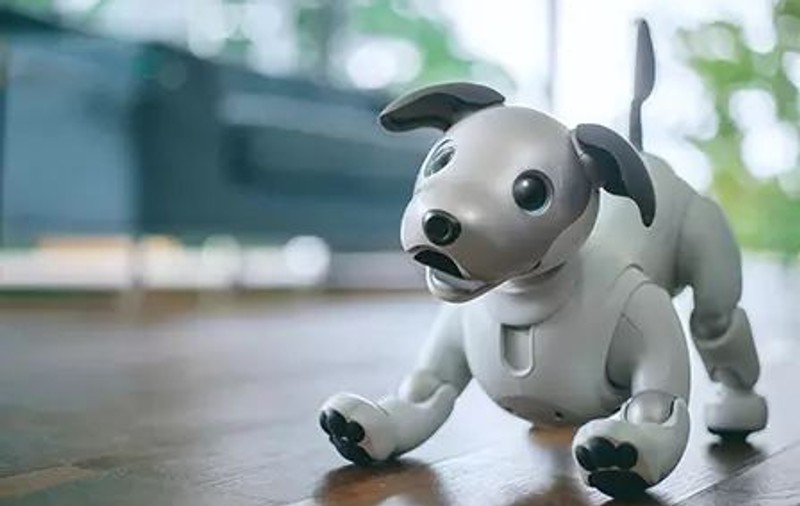 Sony relansează AIBO, cățelul-robot dotat cu inteligență artificială, personalitate și abilitatea de a învăța - VIDEO