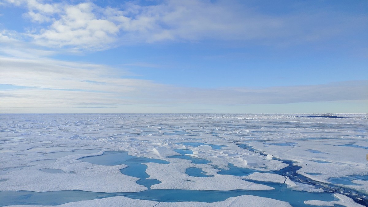blocuri de gheață care plutesc pe apele oceanului arctic