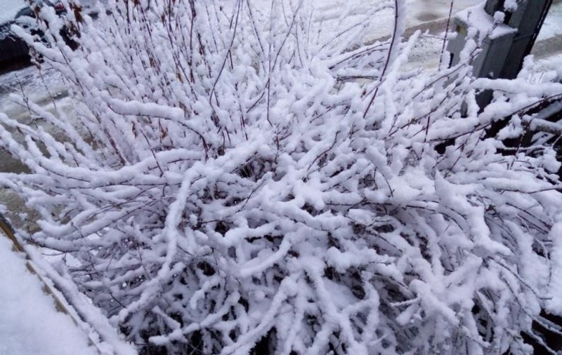 Imagini cu zăpada din Bucegi. Ce avertisment au dat meteorologii