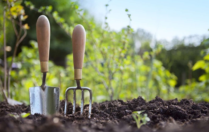 Cele mai bune metode pentru întreținerea unui solar de legume
