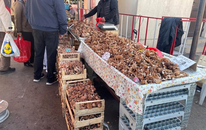 Creștere a intoxicațiilor cu ciuperci din piețe la Iași. Comercianții vând fără autorizație