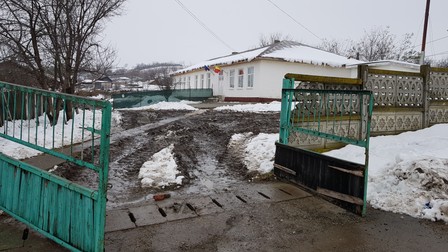 Arhiva foto