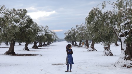 O fetiță a unui grup de persoane strămutate din Siria înfruntă zăpada la tabăra Salat Zagrous din districtul Afrin, nordul Sriei, pe 19 ianuarie 2022.
