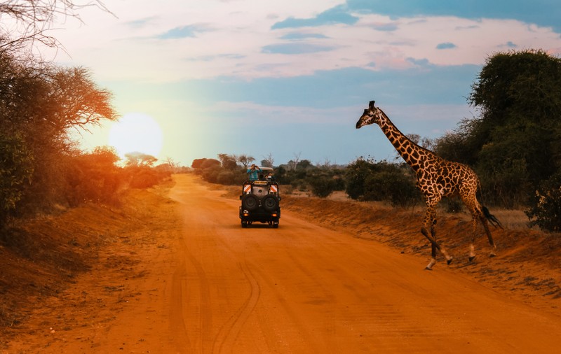 Safari în Kenya și sejur în Zanzibar - O aventură completă