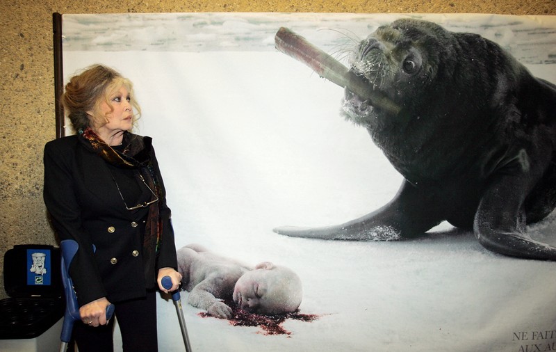 Brigitte Bardot a fost externată după 3 săptămâni și s-a întors acasă, la Madrague: „Vigilență legitimă având în vedere vârsta”
