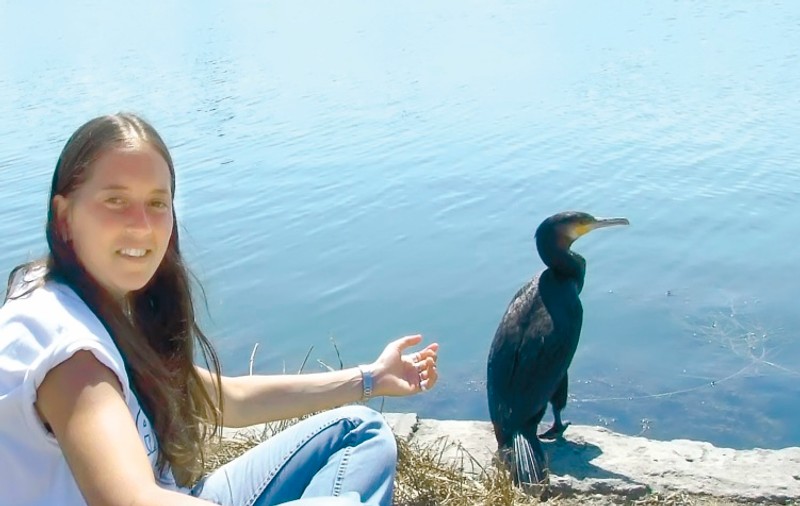 Cormoranul prietenos