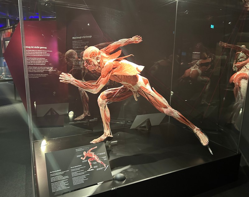 Tulburătoarea expoziție de „plastinate” organizată la București: „De fapt, totul este despre viață, nu despre moarte” | Interviu