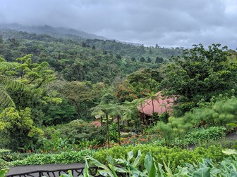 Waterfall Gardens
