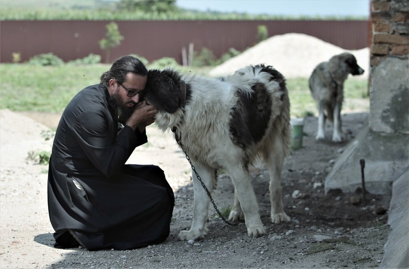 Preotul are la mânăstire trei câini blânzi de care are grijă Foto: Dumitru Angelescu