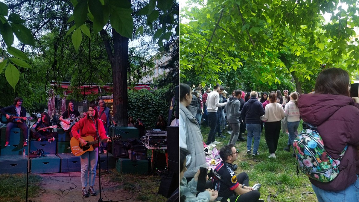 Colaj Gasca Chitara Grozavesti si Proiectul Flori de Mai