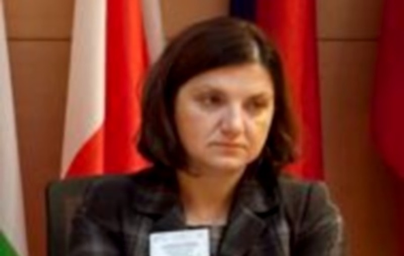 Moțiunea împotriva ministrului Justiției a fost adoptată de Camera Deputaților. Raluca Prună nu demisionează