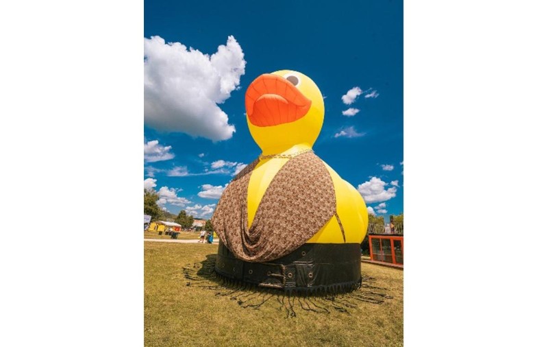 Ținute de festival fără „dacă” și „parcă”. Zalando transformă rața emblematică de la Electric Castle