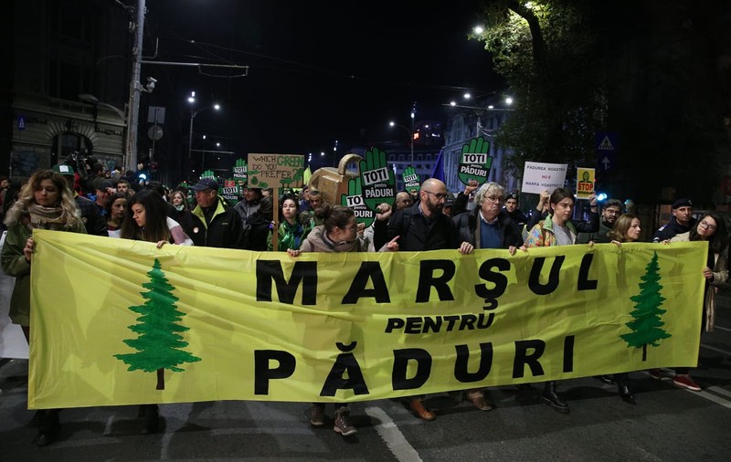 Marșul pentru Păduri |Mii de oameni au ieșit în stradă, în București și în alte orașe, pentru a protesta față de defrișările ilegale: „Pădurea noastră nu e marfa voastră”