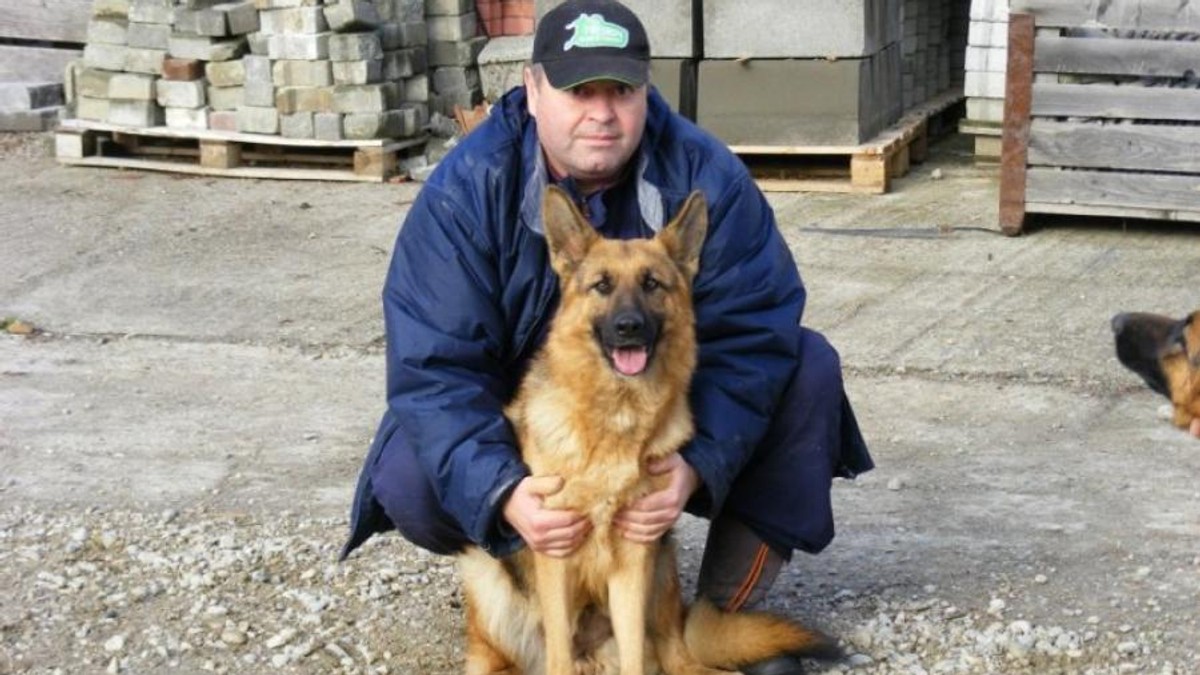 Medicul veterinar care tratează gratis câinii abandonați pe stradă în Bistrița