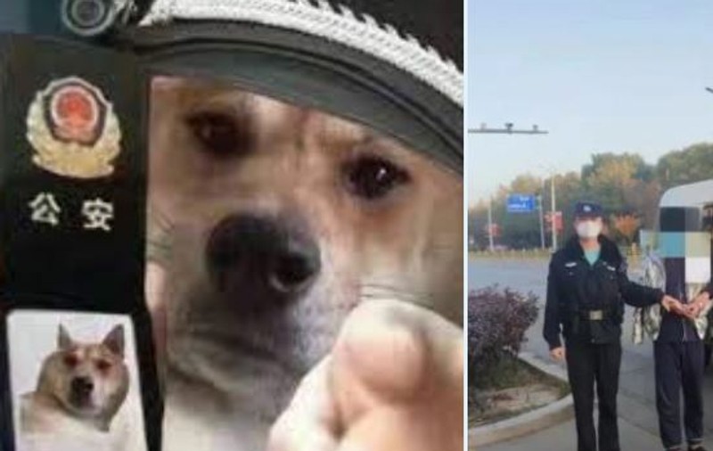 Un chinez a fost arestat după ce a ironizat polițiștii printr-un meme și s-a plâns de măsurile anti-COVID