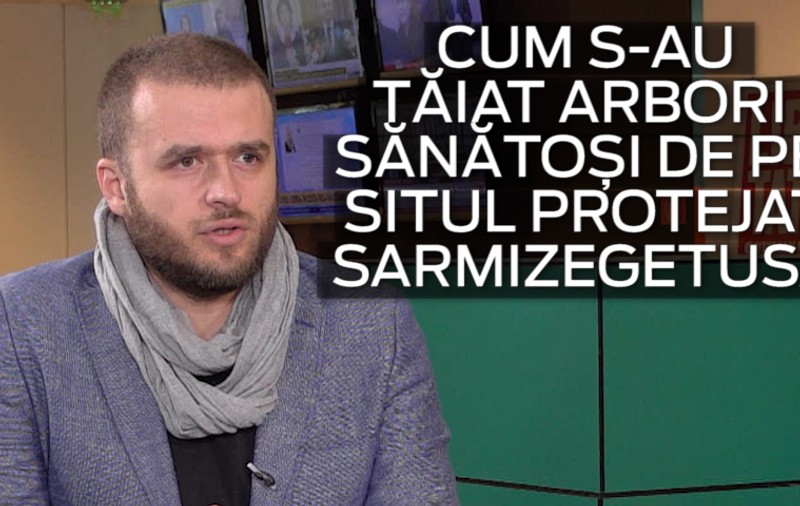 VIDEO / Este defrișat situl Sarmizegetusa Regia. Agent Green a filmat arborii căzuți pe zidurile cetății