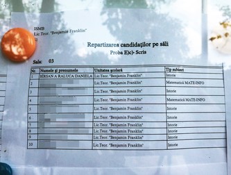 Raluca Bîrsan apare pe lista cu repartizarea candidaților pe săli