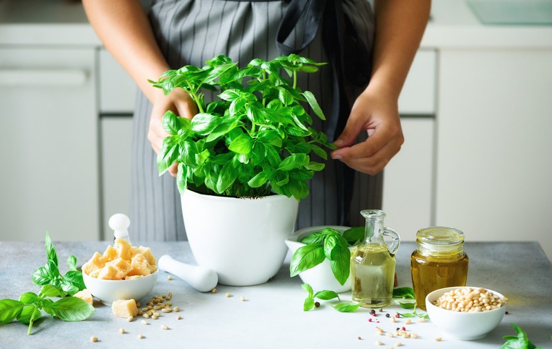 Busuioc - beneficii și curiozități. În ce rețete delicioase îl poți include