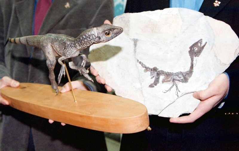 O americană susține că un pui de dinozaur i-a trecut prin curte. „Poate m-am uitat de prea multe ori la Jurassic Park”