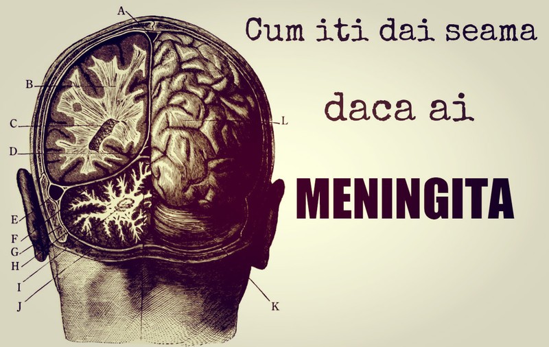 CUM ÎȚI DAI SEAMA CĂ AI MENINGITĂ