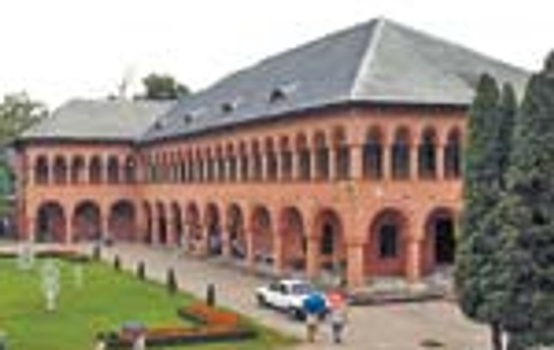 Primarii se bat pe Palatul Mogosoaia