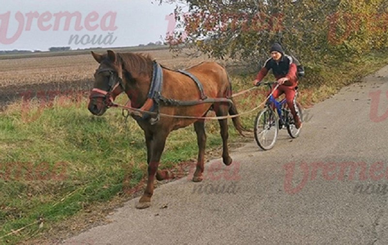 VIDEO | O nouă invenție în materie de transport. Un vasluian se plimbă pe străzi cu o bicicletă trasă de un cal