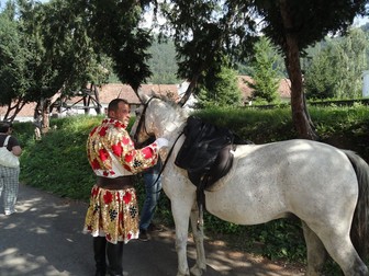 Arhiva foto