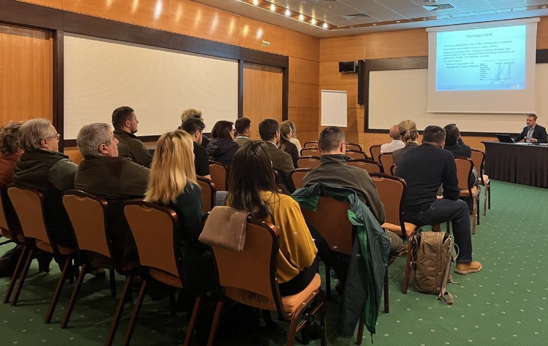 Monitorizarea genetică a populației de urs brun din Carpați, temă pentru cercetătorii europeni