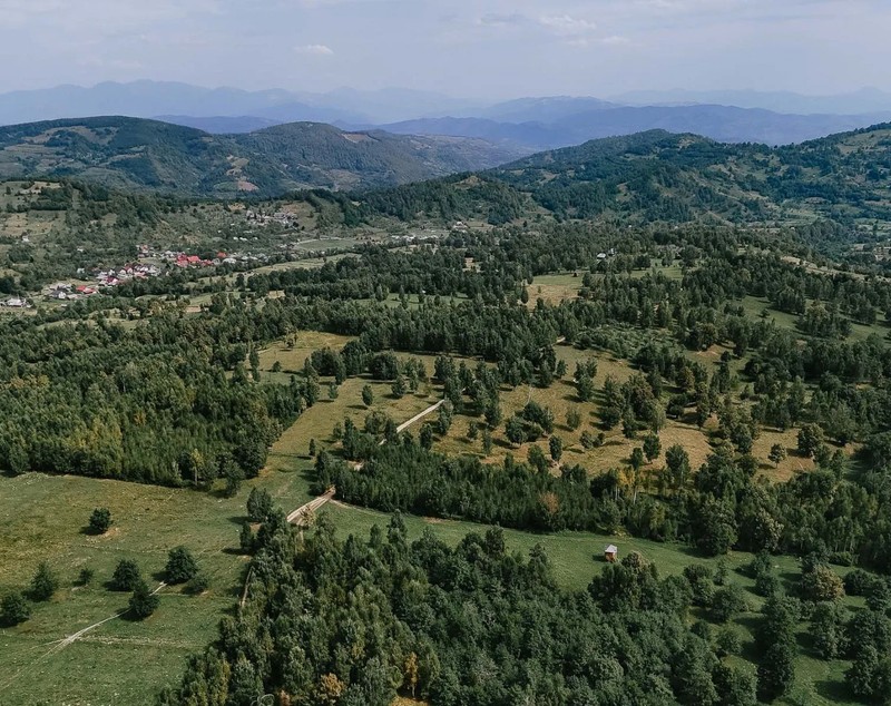 Domeniu de 94 de hectare din Maramureș, scos la vânzare. Cum arată conceptul unic de locuit în România: E un ansamblu de patru case tradiționale